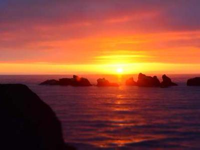 多媒体艺术展示